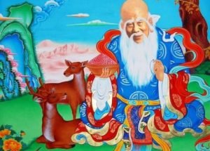 ཚེ་རིང་རྣམ་དྲུག་གི་མཚོན་དོན་འགྲེལ་བཤད།