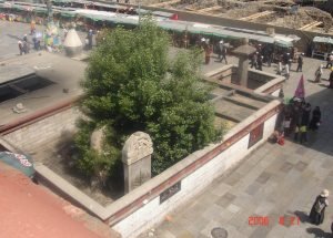 ཞེ་བརྒྱད། ལྷ་སའི་གྲགས་ཅན་ཤིང་རྐང་ལྔ།