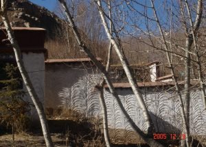 ང) ཉང་བྲན་ལྗགས་སྨིན་ཆུ་འཁོར་དང་། ཅ) ཉང་བྲན་གྱི་ཁང་སེར་ཆུ་འཁོར།