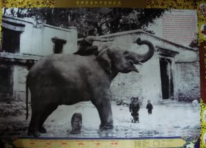 ཁ) གླང་ཁང་ཕུན་ཚོགས་དགའ་ཚལ།