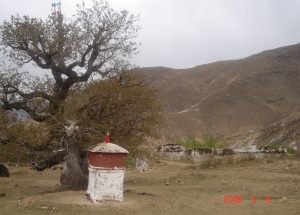 ག) ཉང་བྲན་གྲོང་སྨད་པ།
