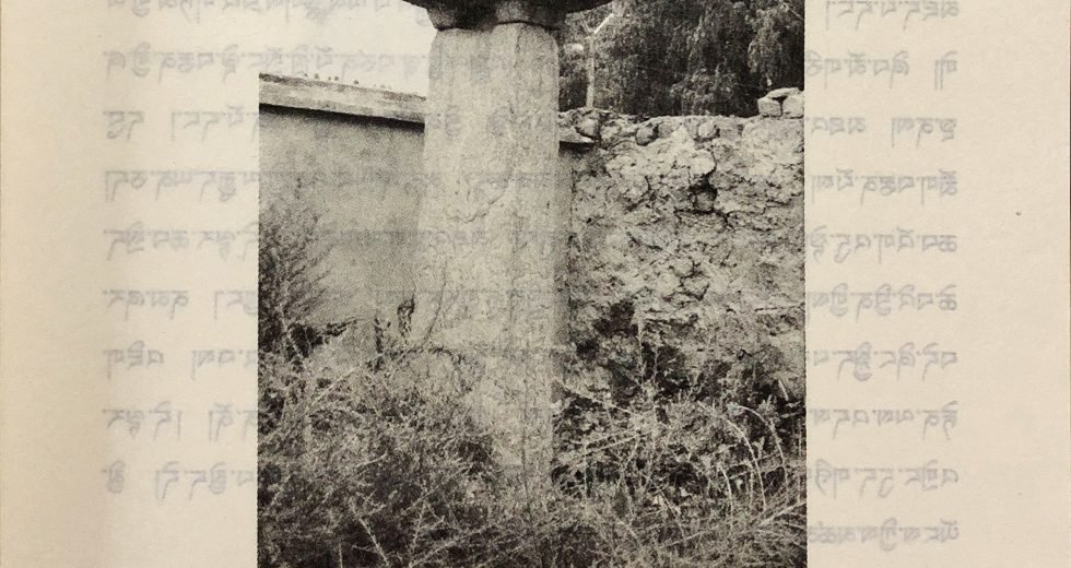 འཕྱོངས་རྒྱས་འཕྱིང་བ་སྟག་རྩེའི་རྡོ་རིང་། (8)