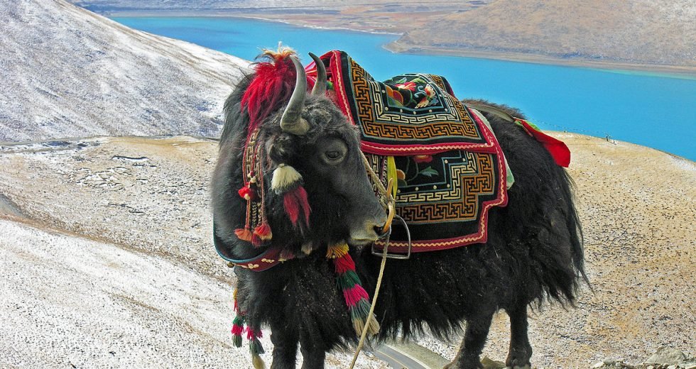 གཡག་སྡེ་པཎ་ཆེན་གྱི་རྣམ་ཐར་སྙིང་བསྡུས།