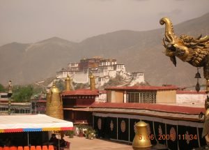 མཐོང་དཀོན་པའི་པོ་ཏ་ལའི་ཕྱི་ནང་གི་བཀོད་པ་དང་། ནང་གི་ལྷ་སྐུ། (1)