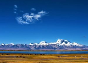 བོད་ཀྱི་གཞི་ཁྱོན་ཆེ་ཤོས་ཀྱི་གནའ་རྫས་རྟོག་ཞིབ།