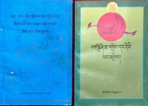 དག་ཡིག་གི་བསྟན་བཅོས་འགའི་མཚན་བྱང་ཕྱོགས་བསྡུས།