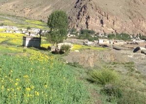 མྱུ་གུ་ལུང་གི་གནས་ཡིག