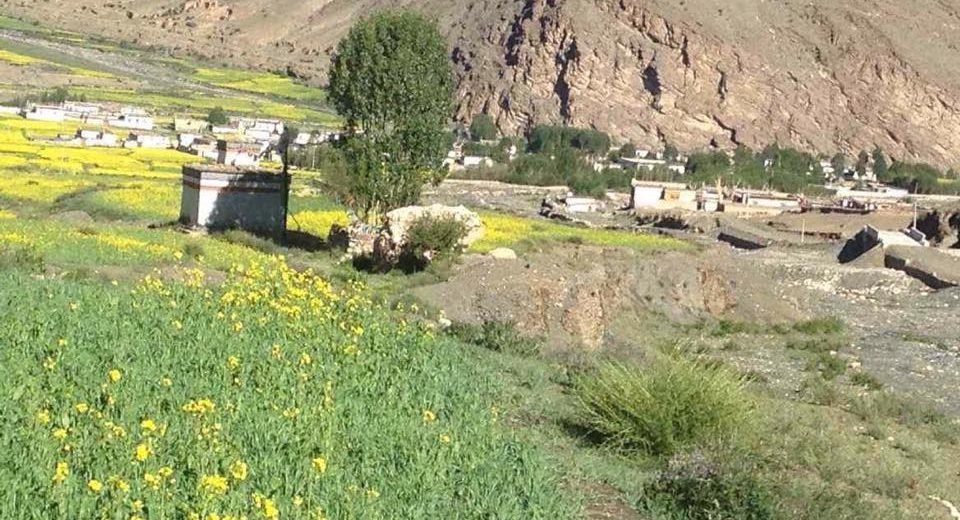 མྱུ་གུ་ལུང་གི་གནས་ཡིག