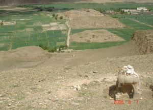 བཙན་པོའི་བང་སོ་རྩིག་སྟངས་དང་དེའི་ནང་གི་གྲུབ་ཆའི་སྐོར།