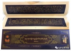 གངས་ལྗོངས་སྨན་རྩིས་རིག་མཛོད་ཆེན་མོ།