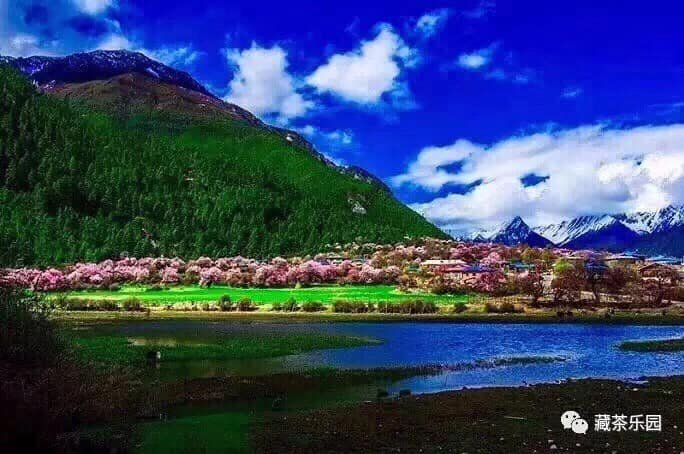 ཀོང་བཙུན་དེ་མོའི་ལྷ་ཁང་།