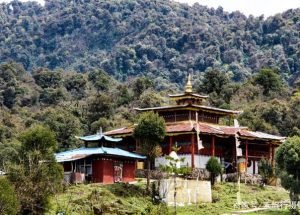 པདྨ་བཀོད། མེ་ཏོག་རྫོང་གི་གཞི་རྩའི་ངོ་སྤྲོད།