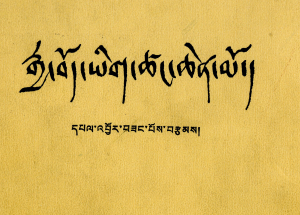 རྒྱ་བོད་ཀྱི་ཡིག་ཚང་མཁས་པ་དགའ་བྱེད་ཆེན་མོ་འཛམ་གླིང་གསལ་བའི་མེ་ལོང་། པོད་སྟོད་སྨད་ཆ་ཚང་།