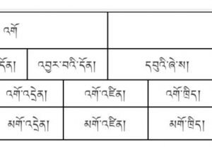 འ་འགོ་དང་མ་མགོའི་རྣམ་གཞག་ལས་ཐོག་མའི་དོན་ཅན་གྱི་དག་ཆར་དཔྱད་པ།