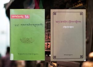 དུས་རབས་བརྒྱད་པའི་དབའ་བཞེད་བྱུང་འཕེལ་གྱི་སྐོར་ལ་བསྐྱར་ཞིབ།