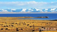 བྱང་རིགས་སྡེ་བཞིའི་ལོ་རྒྱུས་སྤྱི་བཤད་དང་། མིང་དང་ས་བབ་ཆགས་ཚུལ། བོད་བྱང་ཐང་ཞེས་པའི་མིང་གི་ཐོགས་ཚུལ། བྱང་རིགས་སྡེ་བཞིའི་སྲིད་འཛིན་འཕོ་འགྱུར་སྐོར།
