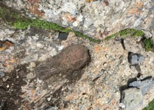 ༄༅། །བཀའ་གདམས་དགེ་བའི་བཤེས་གཉེན་ཆེན་མོ་རྗེ་བཙུན་ཤ་ར་བའི་འཁྲུང་གནས་བྱིན་ཅན།