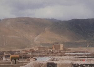 བོད་སྤྱི་ཕུལ་གྱི་གཏན་ཚིགས་འདྲ་བཤུས་ཡི་གེ།