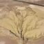 མངའ་རིས་ལོ་རྒྱུས་ལས་རྩ་ཧྲེང་རྫོང་གི་རྫོང་གི་མིང་དང་ས་བབ་ཆགས་ཚུལ། རྫོང་གཞིས་འགྲོ་སྟངས་དང་ཁྲལ་འུལ་ཁྲིམས་གནོན་སྐོར།