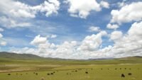 ནག་ཆུ་རྫོང་གི་གཞུང་སྒེར་ཆོས་གསུམ་གྱི་ས་ཞིང་བདག་ཐོབ་དང་། ཡུལ་སྡེ་དང་། རི། ལ། མཚོ། གཙང་པོ། ཐོན་ཁུངས་སྐོར།