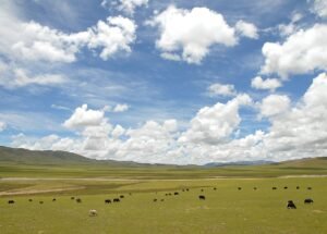 ནག་ཆུ་རྫོང་གི་གཞུང་སྒེར་ཆོས་གསུམ་གྱི་ས་ཞིང་བདག་ཐོབ་དང་། ཡུལ་སྡེ་དང་། རི། ལ། མཚོ། གཙང་པོ། ཐོན་ཁུངས་སྐོར།