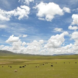 ནག་ཆུ་རྫོང་གི་གཞུང་སྒེར་ཆོས་གསུམ་གྱི་ས་ཞིང་བདག་ཐོབ་དང་། ཡུལ་སྡེ་དང་། རི། ལ། མཚོ། གཙང་པོ། ཐོན་ཁུངས་སྐོར།