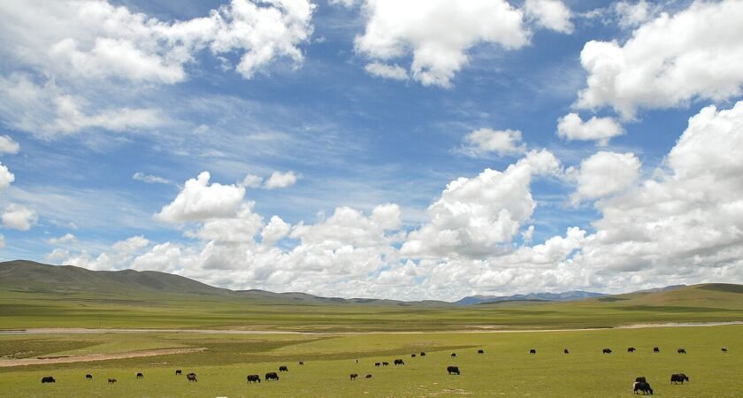 ནག་ཆུ་རྫོང་གི་གཞུང་སྒེར་ཆོས་གསུམ་གྱི་ས་ཞིང་བདག་ཐོབ་དང་། ཡུལ་སྡེ་དང་། རི། ལ། མཚོ། གཙང་པོ། ཐོན་ཁུངས་སྐོར།