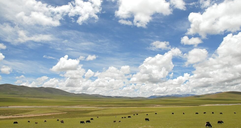 ནག་ཆུ་རྫོང་གི་གཞུང་སྒེར་ཆོས་གསུམ་གྱི་ས་ཞིང་བདག་ཐོབ་དང་། ཡུལ་སྡེ་དང་། རི། ལ། མཚོ། གཙང་པོ། ཐོན་ཁུངས་སྐོར།