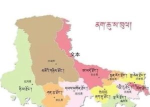 ནག་ཆུ་རྫོང་གི་རྫོང་གཞིས་ཀྱི་འགྲོ་སྟངས་དང་ཁྲལ་འུལ་ཁྲིམས་གནོན་སྐོར།