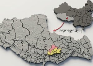 འདམ་གཞུང་རྫོང་གི་མིང་དང་ས་བབ་ཆགས་ཚུལ། རྫོང་གི་ལོ་རྒྱུས་སྐོར།