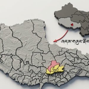 འདམ་གཞུང་རྫོང་གི་མིང་དང་ས་བབ་ཆགས་ཚུལ། རྫོང་གི་ལོ་རྒྱུས་སྐོར།