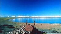 འདམ་གཞུང་རྫོང་གི་རྫོང་གཞིས་འགྲོ་སྟངས་དང་ཁྲལ་འུལ་ཁྲིམས་གནོན་སྐོར།